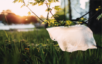 Des moyens simples de réduire les déchets plastiques